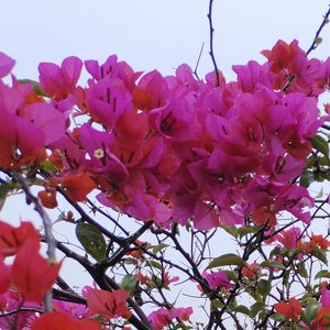 世界上欠男人一个节日