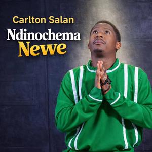 Ndinochema Newe
