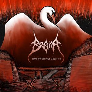 Hranice (Live at Brutal Assault 2025)