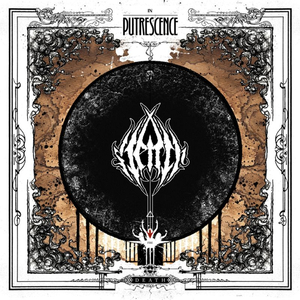 Drenched in the Light