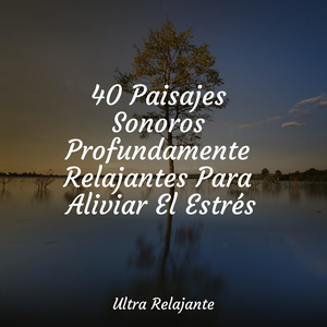 Meditación Relajante
