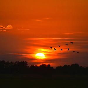 盛夏派对+夏日情歌