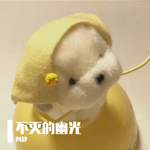 不灭的幽光