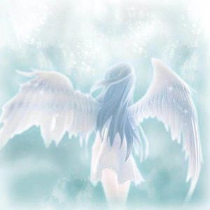 ˚*爱即是痛苦˚✧