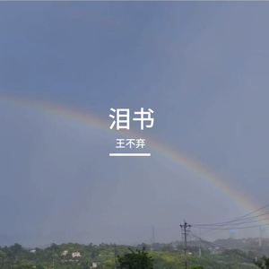 泪书