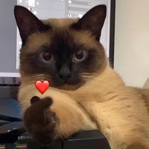 我最喜欢拉屎啦