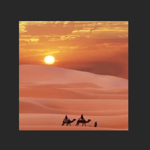 "孤烟"Gunna&中国风马头琴采样Type Beat