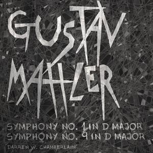 Symphony No. 1 in D Major: III. -