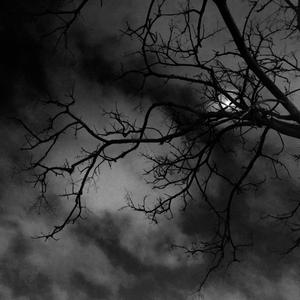 当我的光曝在你身上 重逢就是一间暗室