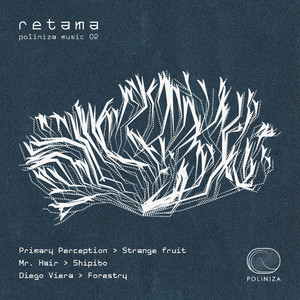 Shipibo (Original Mix)