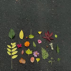 想对你说（demo）