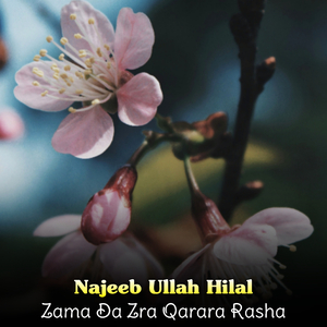 Domra Ba Wazharam