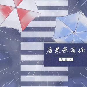 后来没有你