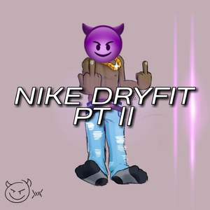 Nike Dryfit PT ||