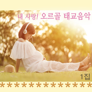 사티 : 그대를 원해요 (오르골)