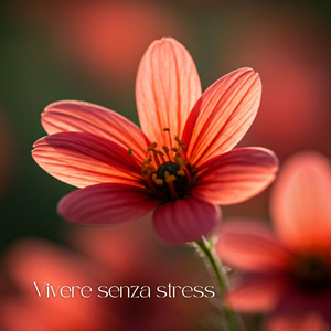 Rilassamento meditativo