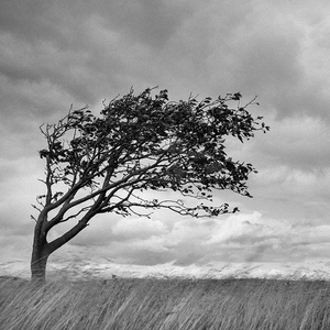 住在心里的过客（Cover 梁文音）