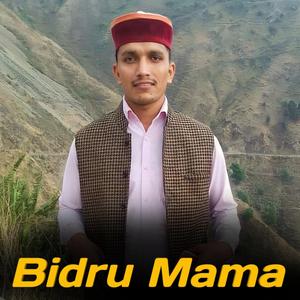 Bidru Mama