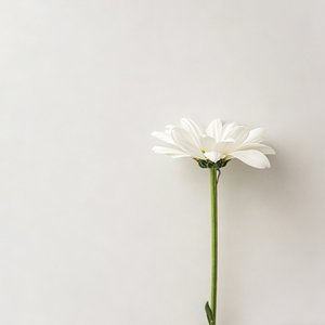 层林尽染（demo）.wav