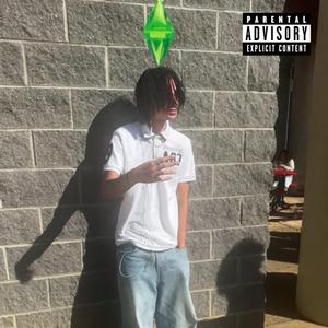 The Sims