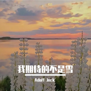 张妙格 - 我期待的不是雪（Adolf Jack remix）