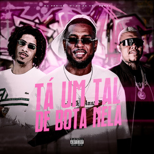 Tá Um Tal De Bota Nela