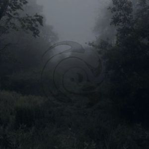 '宿雨' asian rock x ambient arnb beat