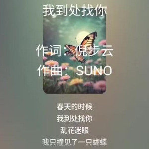 我到处找你