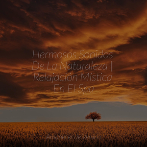 El Santuario Secreto de Sakura