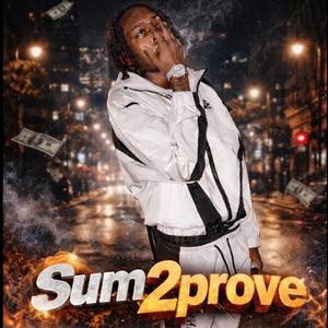 Sum2prove