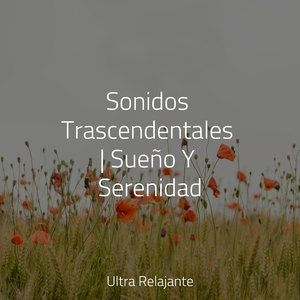 Tonos De Tintineo