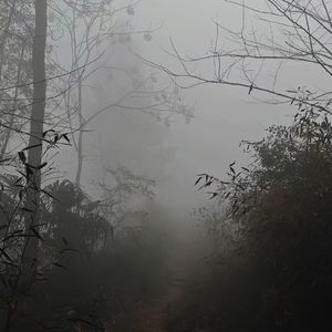 炊烟缠绕的温柔