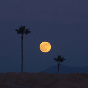 城市的浪漫运作 (女声版)