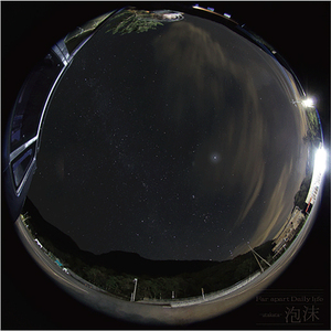 仰ぎ見るは群青