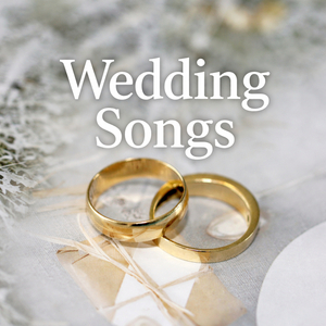 I Wanna Dance With Somebody (Who Loves Me)