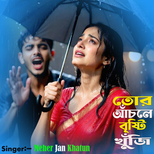 তোর আঁচলে বৃষ্টি খুঁজি