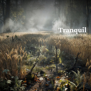 Tranquil