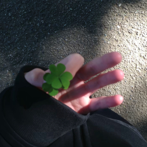 我们本是平行线