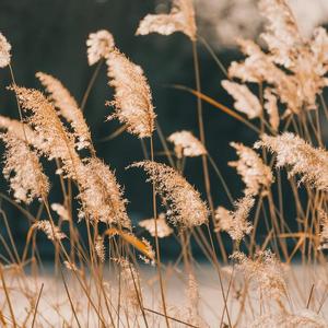 古风悬疑 一双绣花鞋