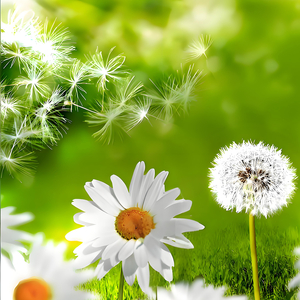 你是我今生的唯一 (治愈纯音乐)