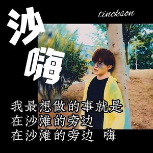 沙嗨