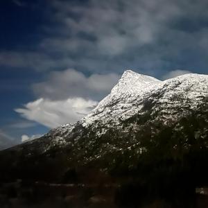 bodø