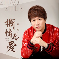 撕情忘爱 (DJ沈念版)