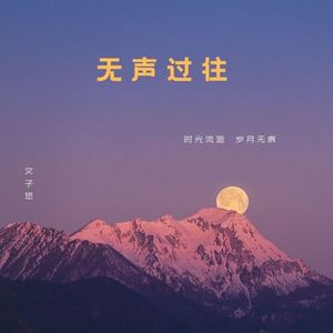 无声过往 - 文子悠
