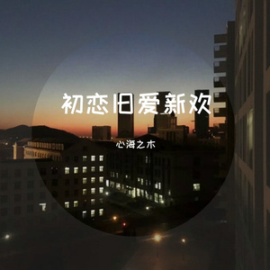 初恋旧爱新欢