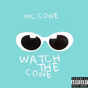 Sillycone