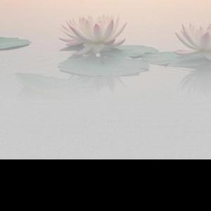 부모님을 위한 기도(불교 기도문)