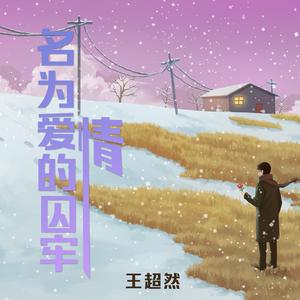 名为爱情的囚牢 (烟嗓DJ版)