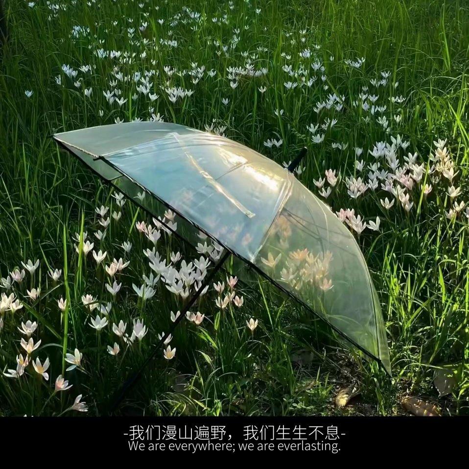 歌单封面