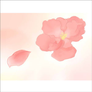 无名之樱（原曲：さくらさくら~ Japanize Dream...）